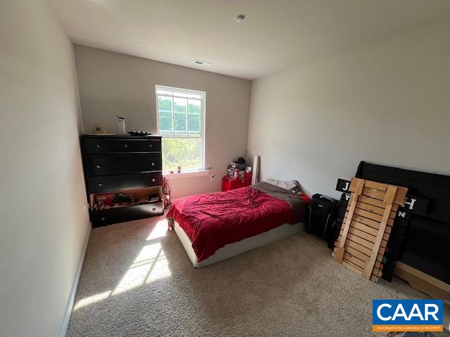 198 Riva Way Palmyra, VA 22963 - Photo 16 of 24
