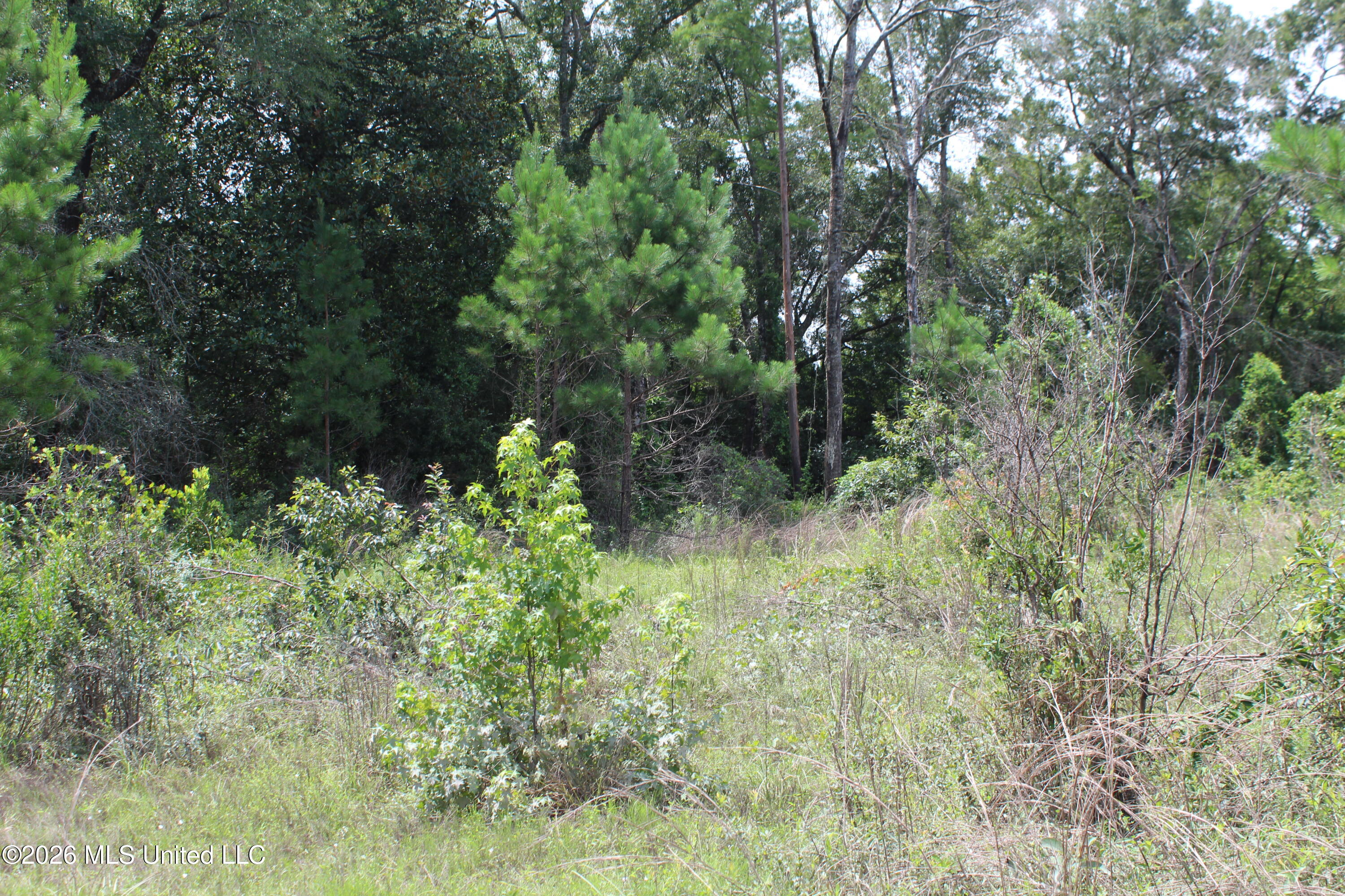 Agricola Latonia Road Lucedale, MS 39452 - Photo 11 of 27 IMG_7232