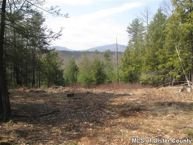 Tbd Sun Mountain Road Stone Ridge, NY 12484 - Photo 1 of 6 Photo 1