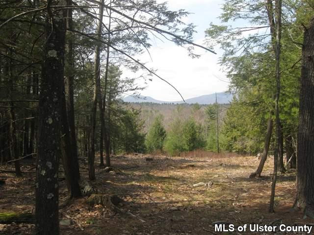 Tbd Sun Mountain Road Stone Ridge, NY 12484 - Photo 2 of 6 Photo 2