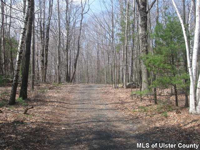 Tbd Sun Mountain Road Stone Ridge, NY 12484 - Photo 3 of 6 Photo 3