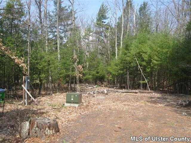 Tbd Sun Mountain Road Stone Ridge, NY 12484 - Photo 4 of 6 Photo 4