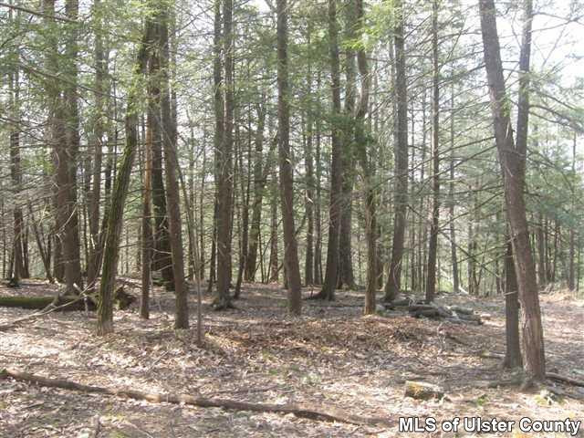 Tbd Sun Mountain Road Stone Ridge, NY 12484 - Photo 5 of 6 Photo 5