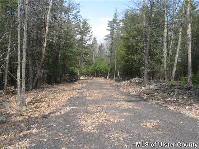Tbd Sun Mountain Road Stone Ridge, NY 12484 - Photo 6 of 6 Photo 6