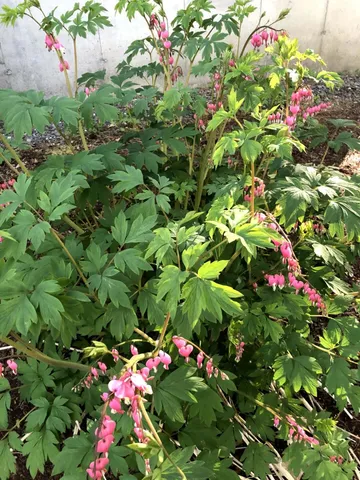 $550,000 | 125 Ridgeview Drive, Veazie, ME 04401