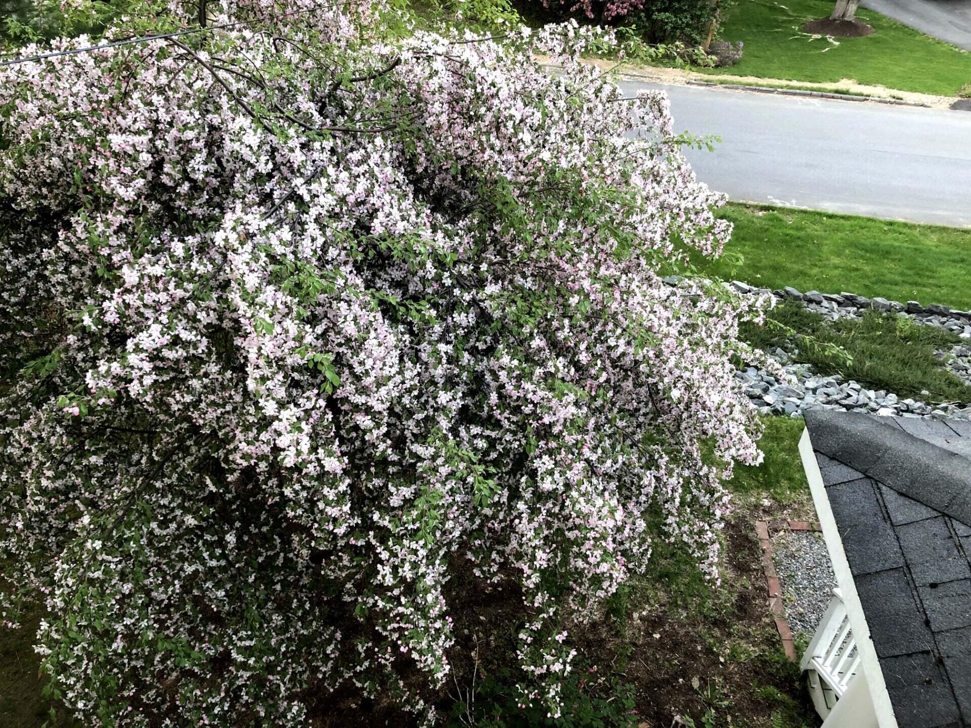 125 Ridgeview Drive Veazie, ME 04401 - Photo 47 of 53 33