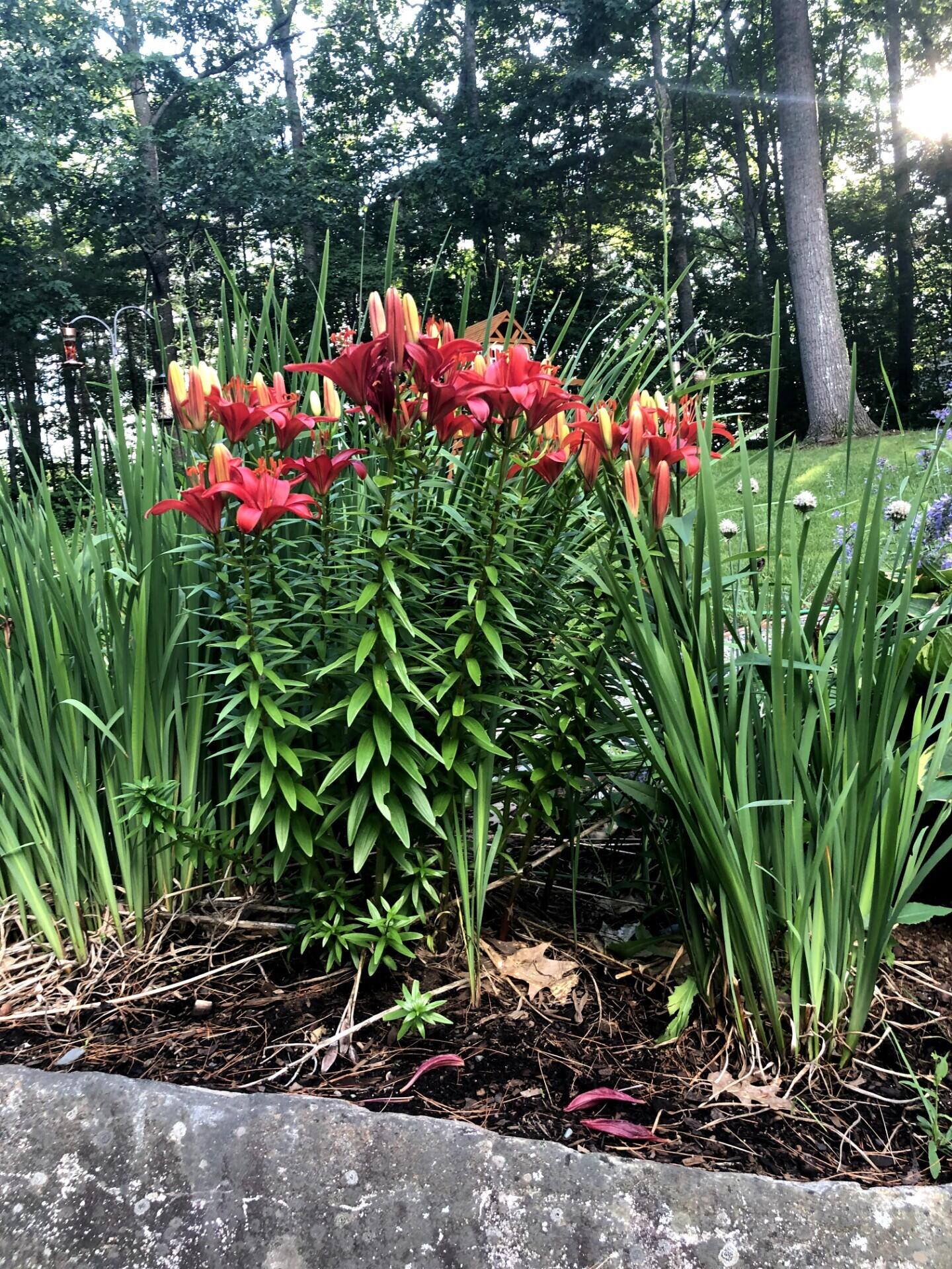 125 Ridgeview Drive Veazie, ME 04401 - Photo 49 of 53 11