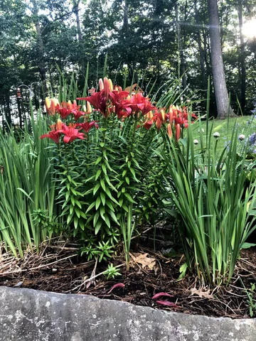 $550,000 | 125 Ridgeview Drive, Veazie, ME 04401