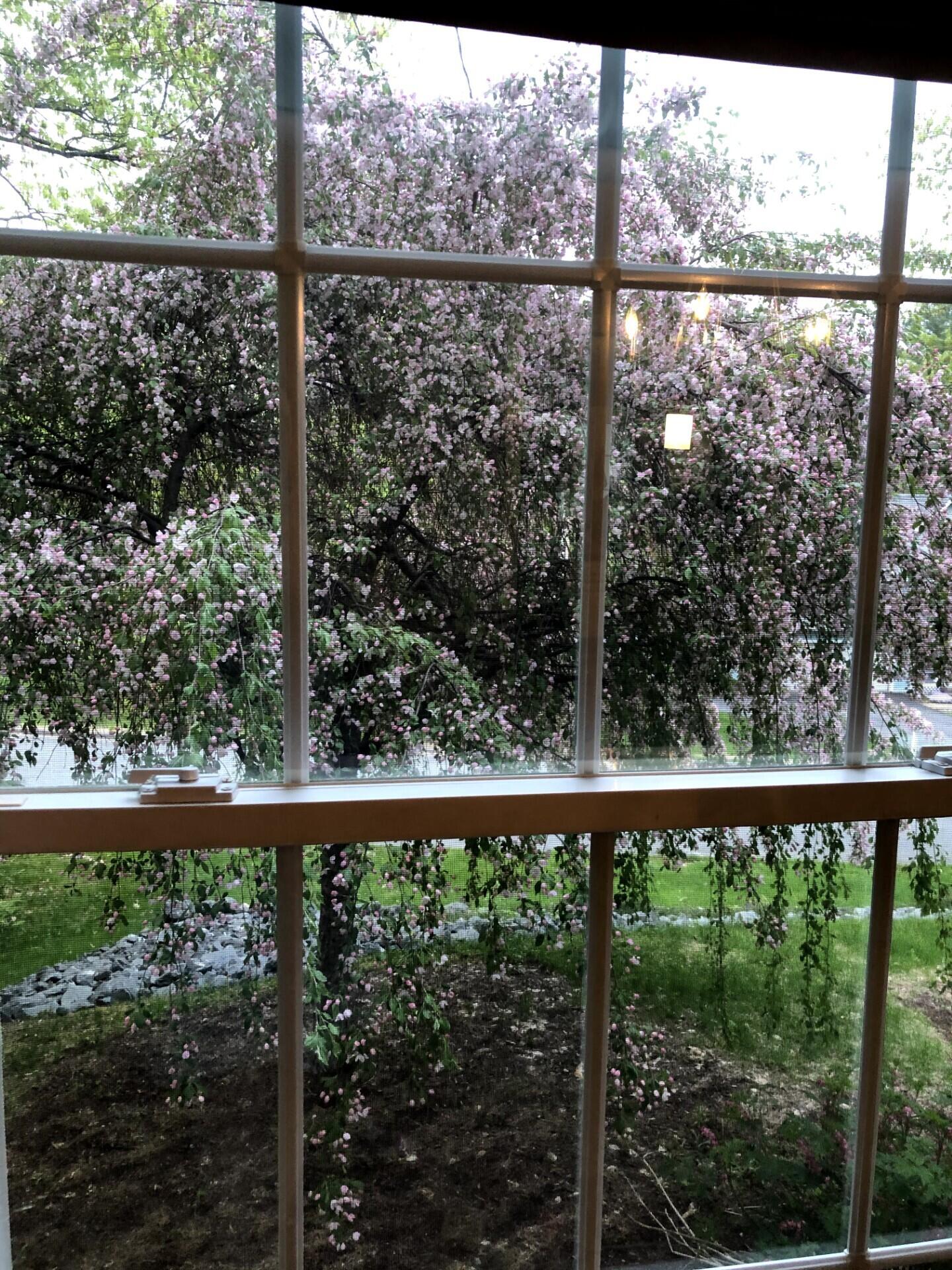 125 Ridgeview Drive Veazie, ME 04401 - Photo 52 of 53 15 - Copy