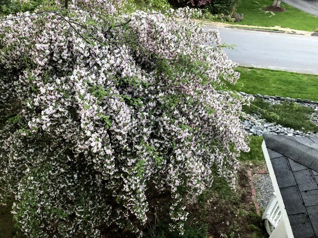 $550,000 | 125 Ridgeview Drive, Veazie, ME 04401