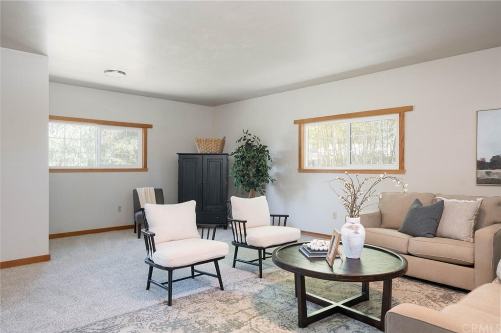 4312 Stable Lane Chico, CA 95973 - Photo 20 of 50 a living room with furniture and a potted plant