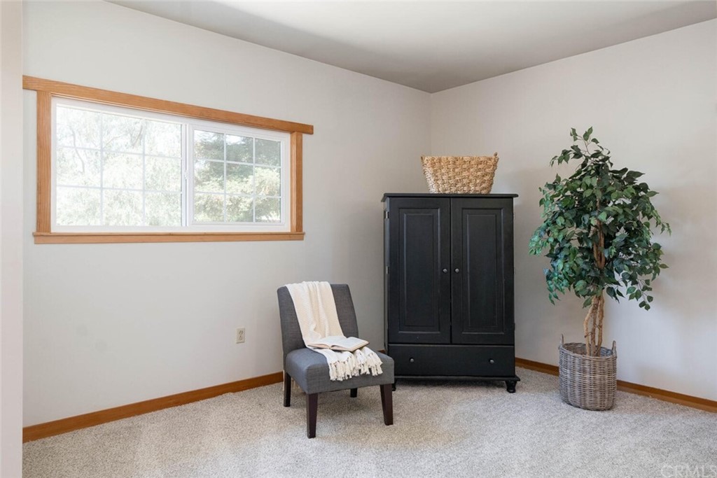 4312 Stable Lane Chico, CA 95973 - Photo 21 of 50 a living room with furniture and a potted plant