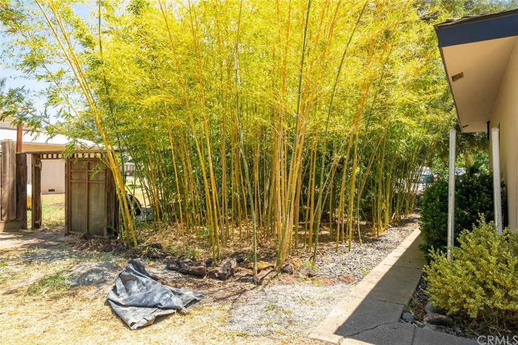 4312 Stable Lane Chico, CA 95973 - Photo 39 of 50 a view of backyard with swimming pool and outdoor seating