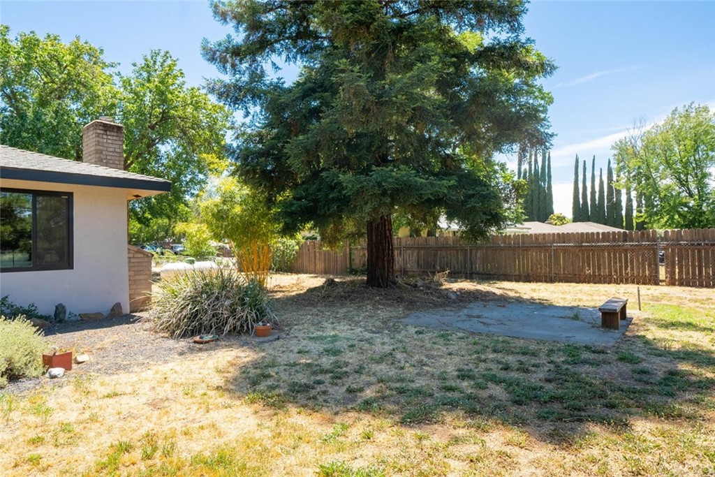 4312 Stable Lane Chico, CA 95973 - Photo 42 of 50 a view of a yard with plants and trees