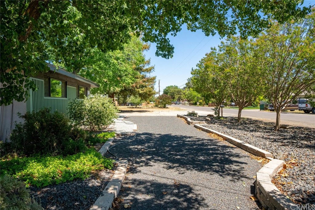 4312 Stable Lane Chico, CA 95973 - Photo 45 of 50 a view of a yard with plants and trees