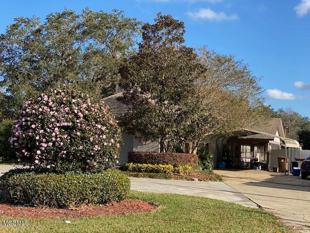 14398 T Bird Road D'Iberville, MS 39540 - Photo 3 of 19 Driveway_1