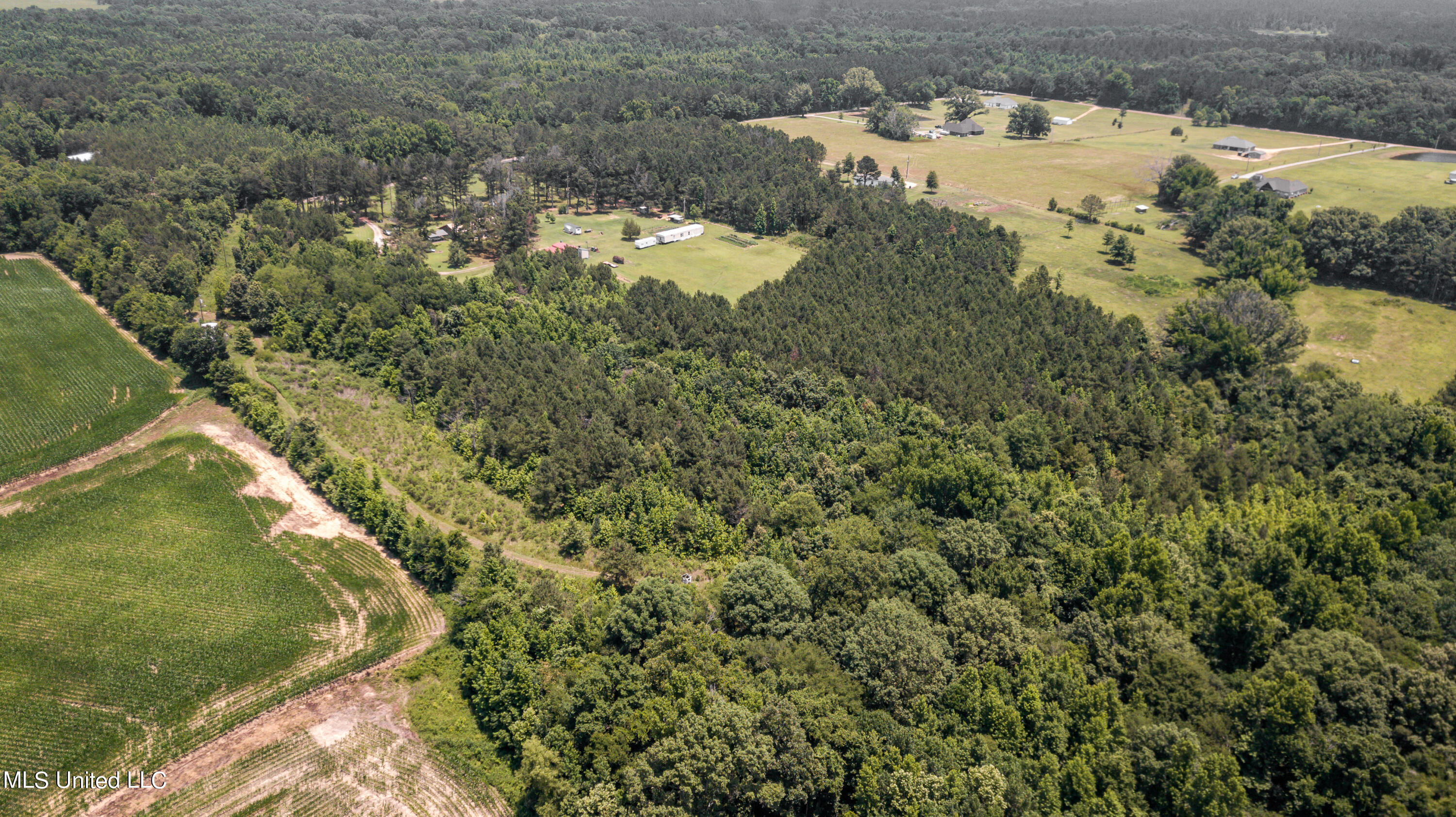 439 Dampeer Road Canton, MS 39046 - Photo 11 of 30 Dampeer Road Land Drone-0520
