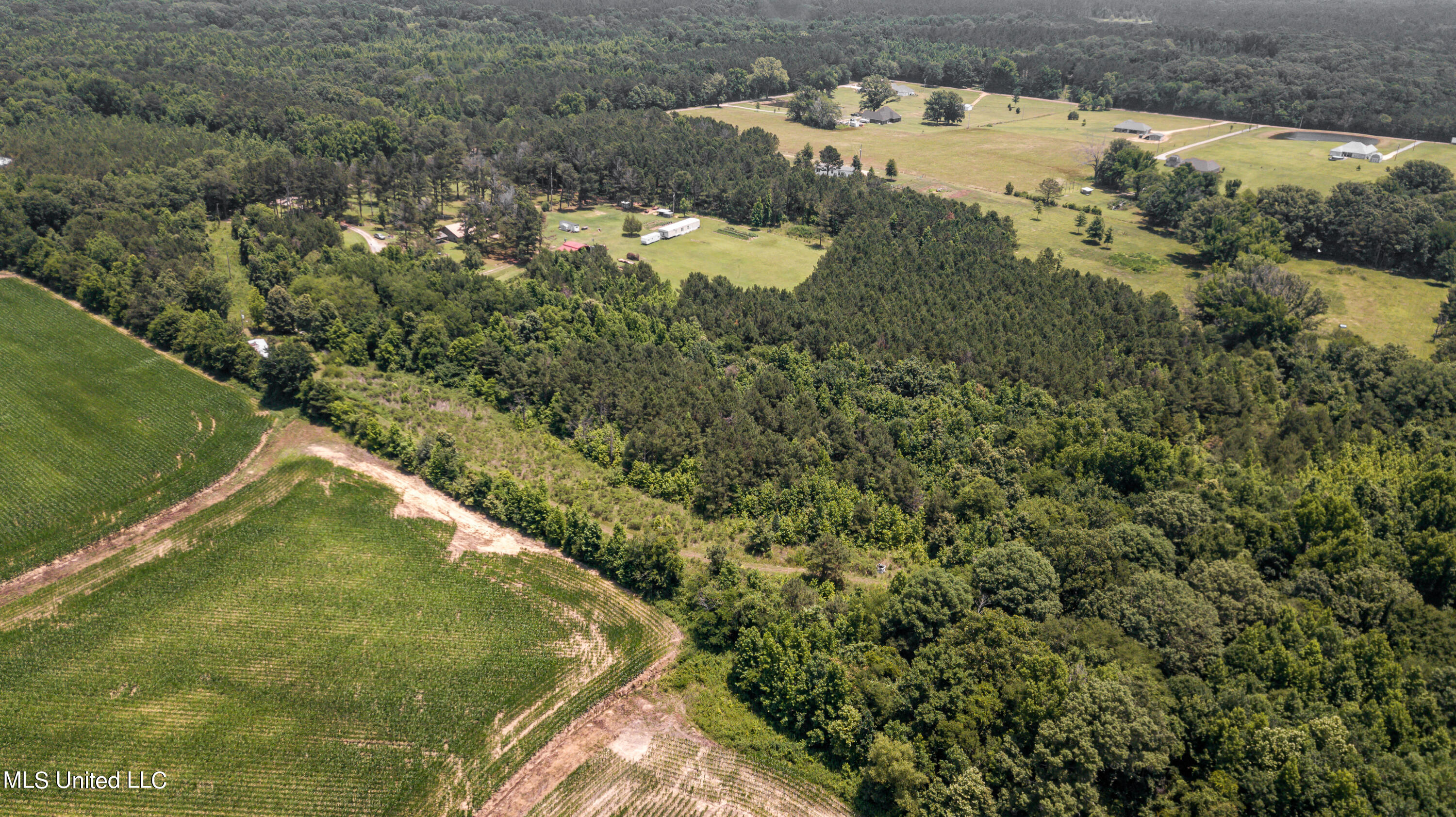 439 Dampeer Road Canton, MS 39046 - Photo 12 of 30 Dampeer Road Land Drone-0521