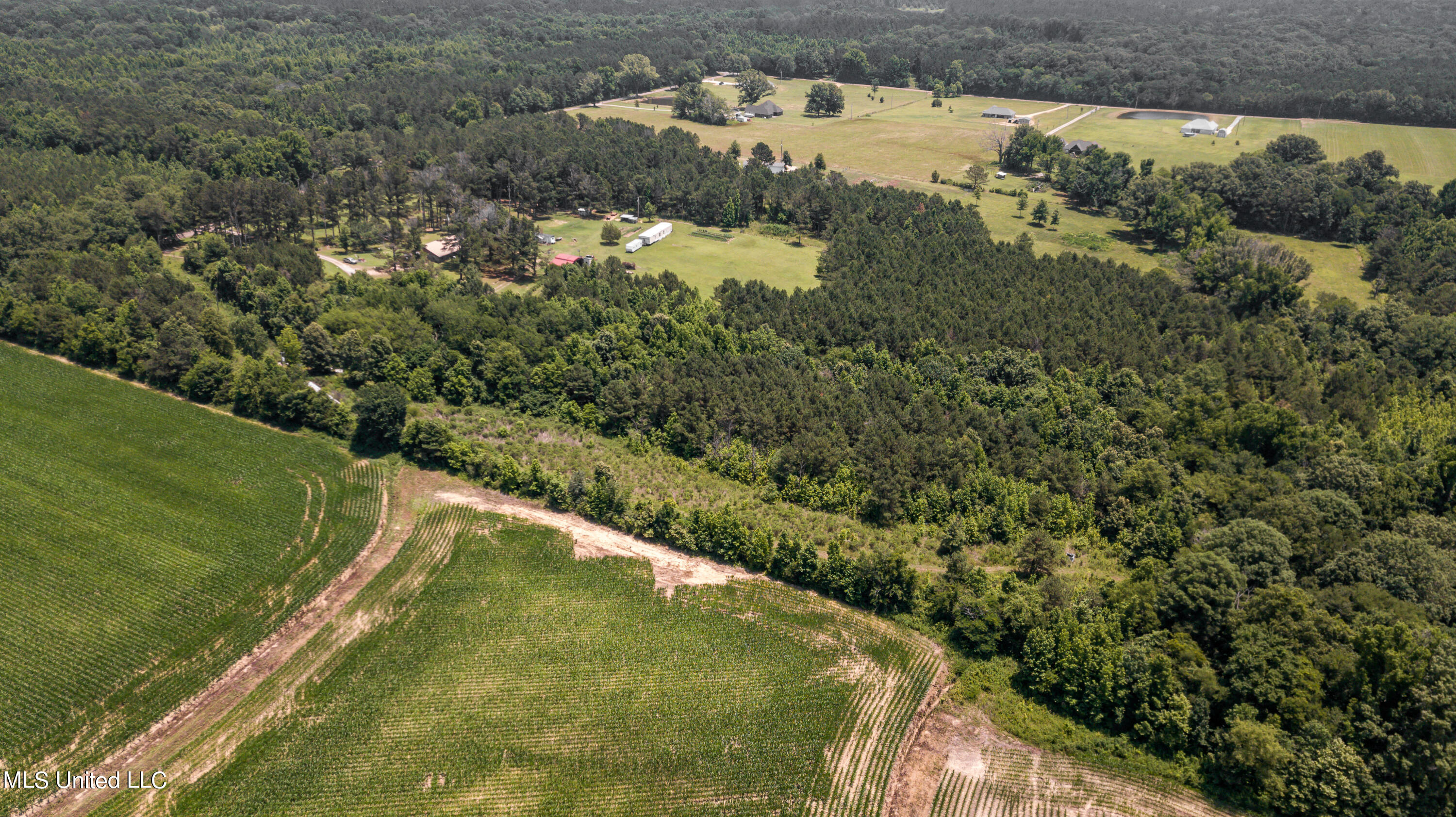 439 Dampeer Road Canton, MS 39046 - Photo 13 of 30 Dampeer Road Land Drone-0522