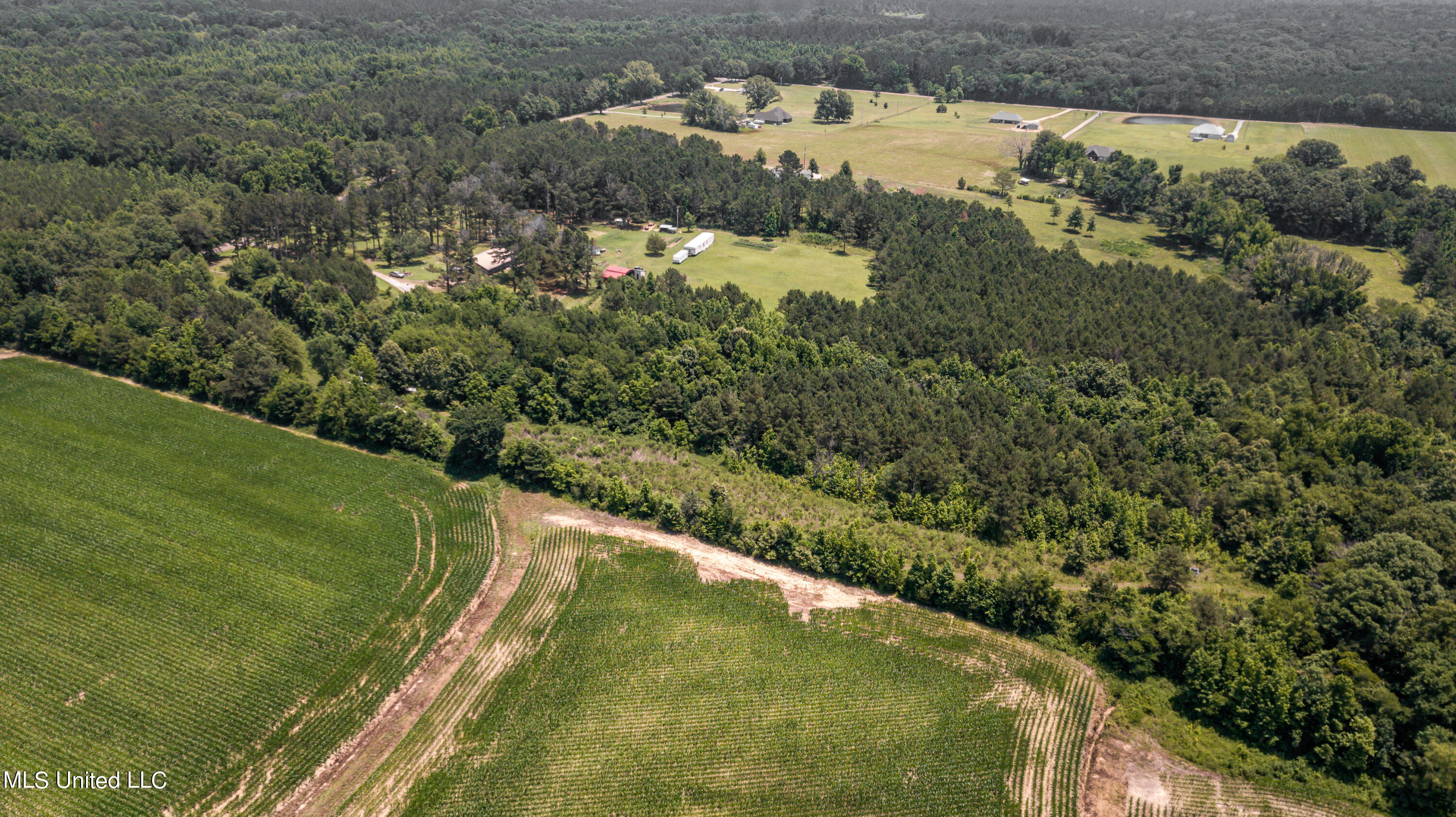 439 Dampeer Road Canton, MS 39046 - Photo 14 of 30 Dampeer Road Land Drone-0523