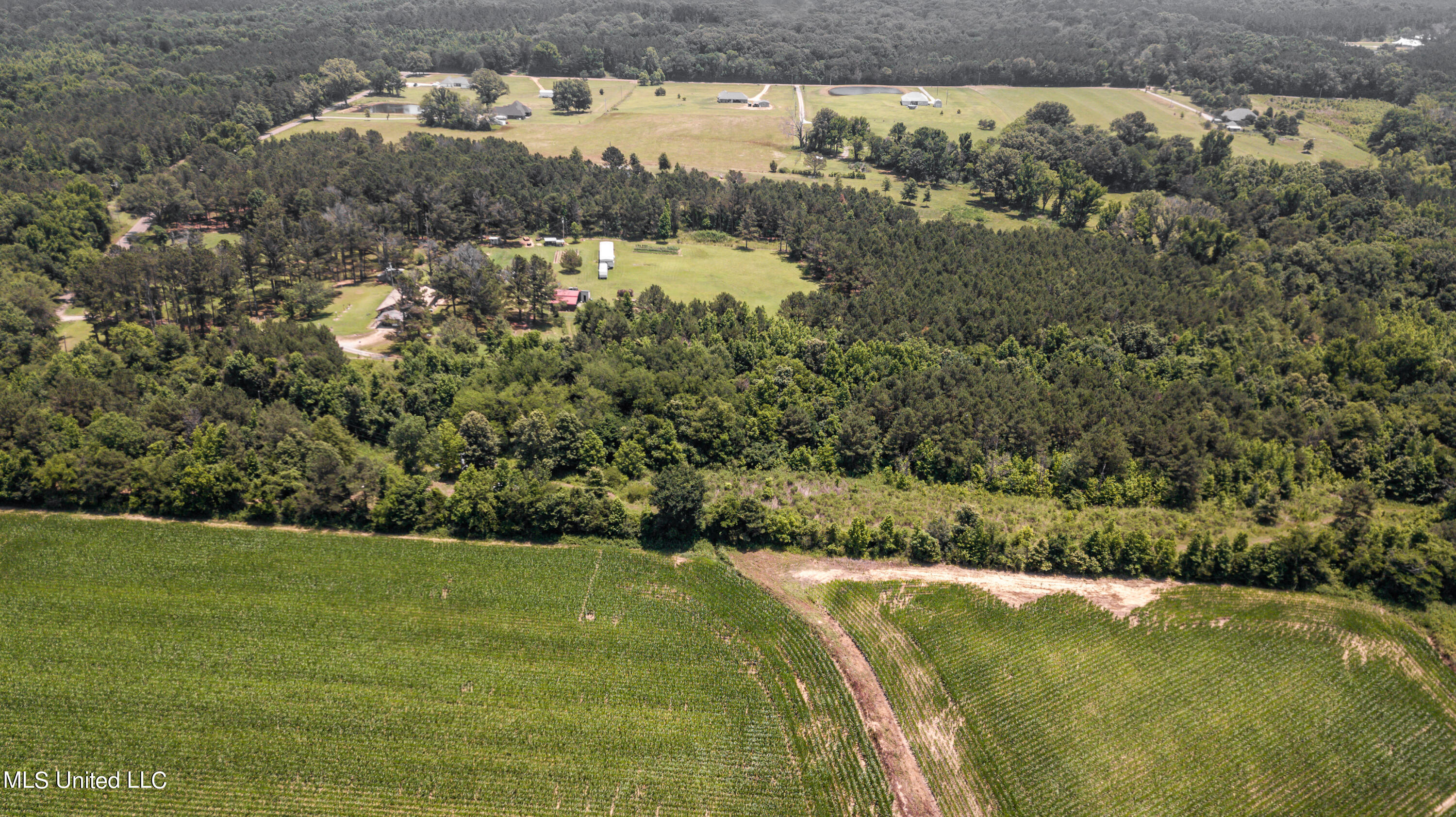 439 Dampeer Road Canton, MS 39046 - Photo 15 of 30 Dampeer Road Land Drone-0524