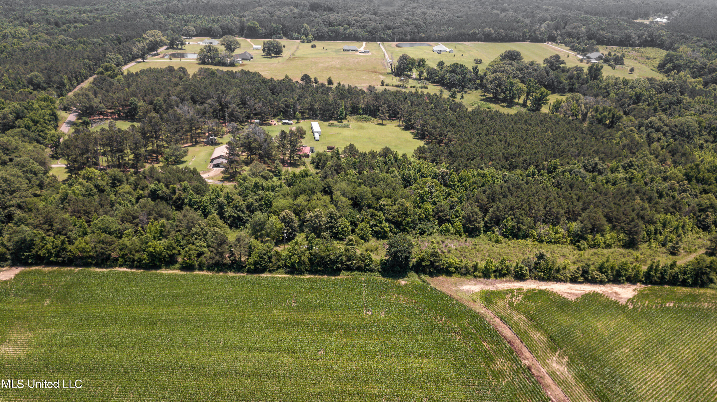 439 Dampeer Road Canton, MS 39046 - Photo 16 of 30 Dampeer Road Land Drone-0525