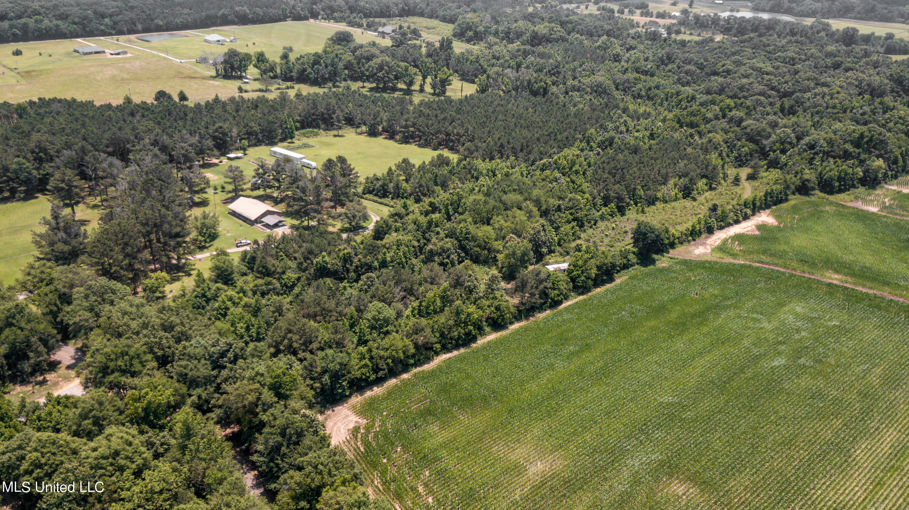 439 Dampeer Road Canton, MS 39046 - Photo 18 of 30 Dampeer Road Land Drone-0527