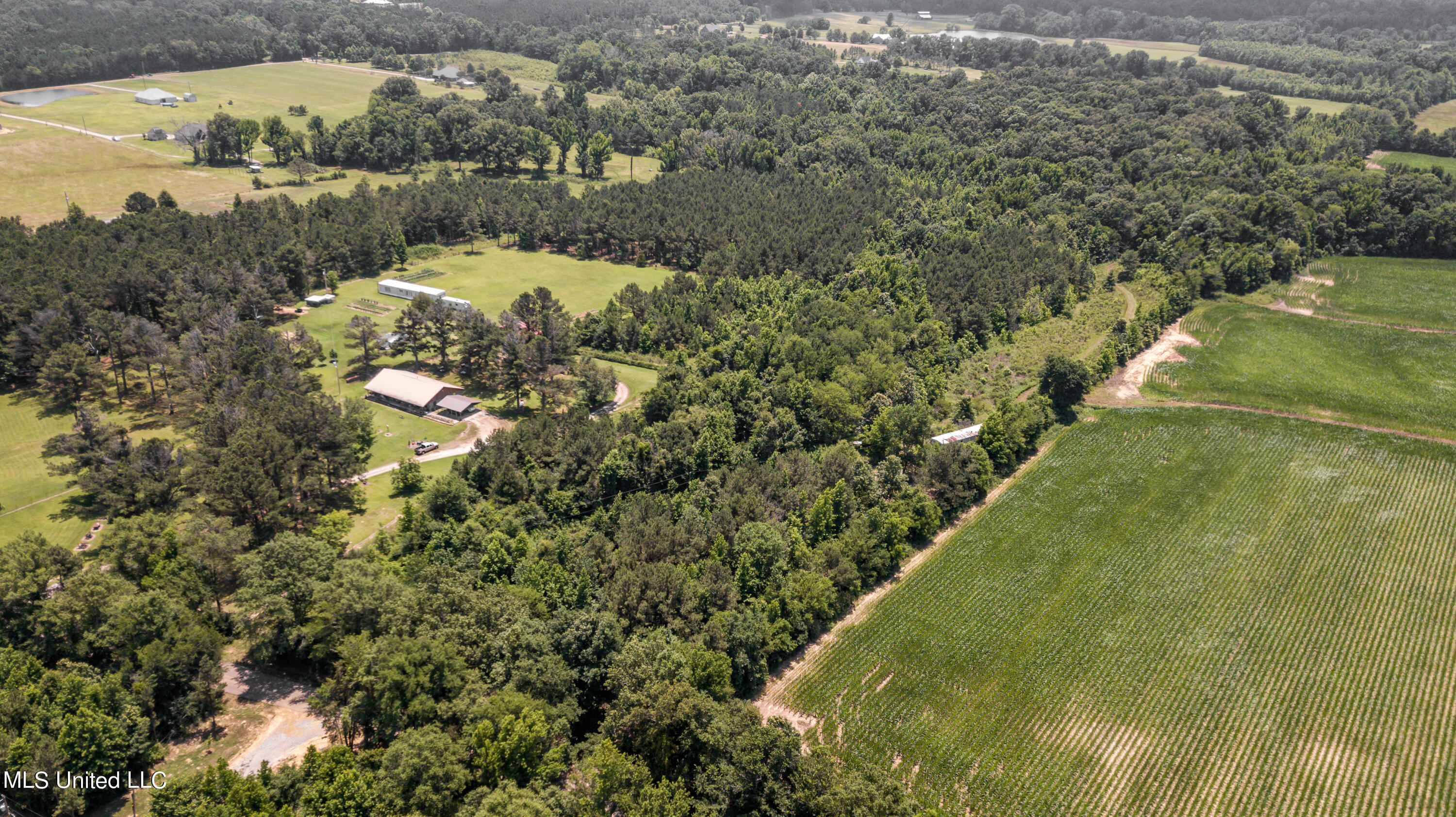 439 Dampeer Road Canton, MS 39046 - Photo 19 of 30 Dampeer Road Land Drone-0528