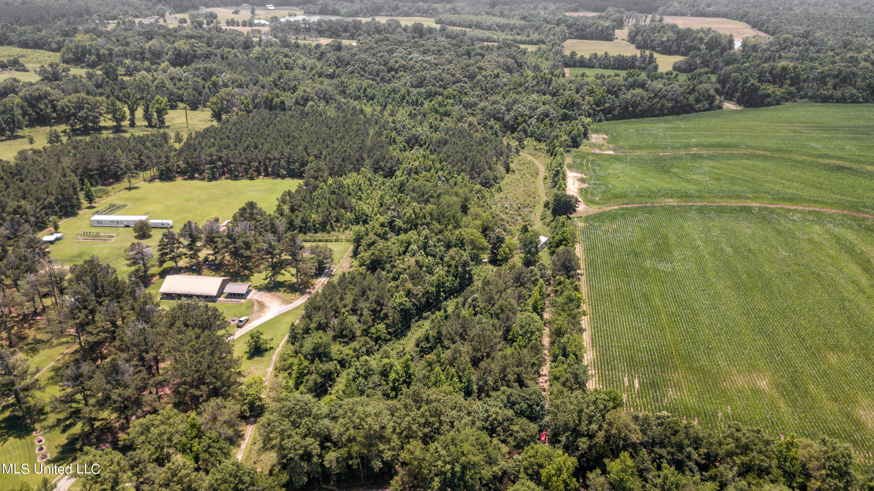 439 Dampeer Road Canton, MS 39046 - Photo 20 of 30 Dampeer Road Land Drone-0529