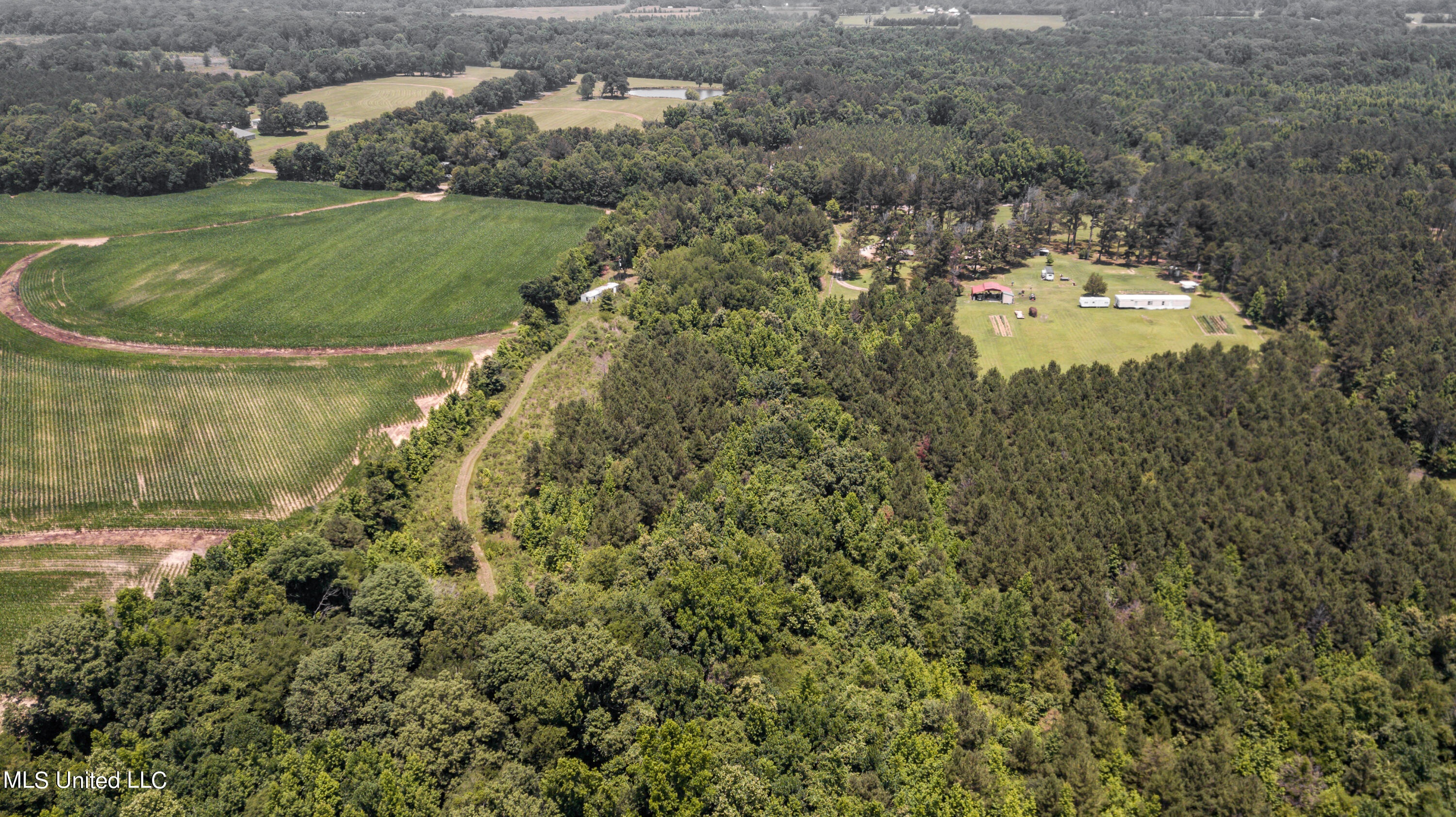 439 Dampeer Road Canton, MS 39046 - Photo 2 of 30 Dampeer Rd