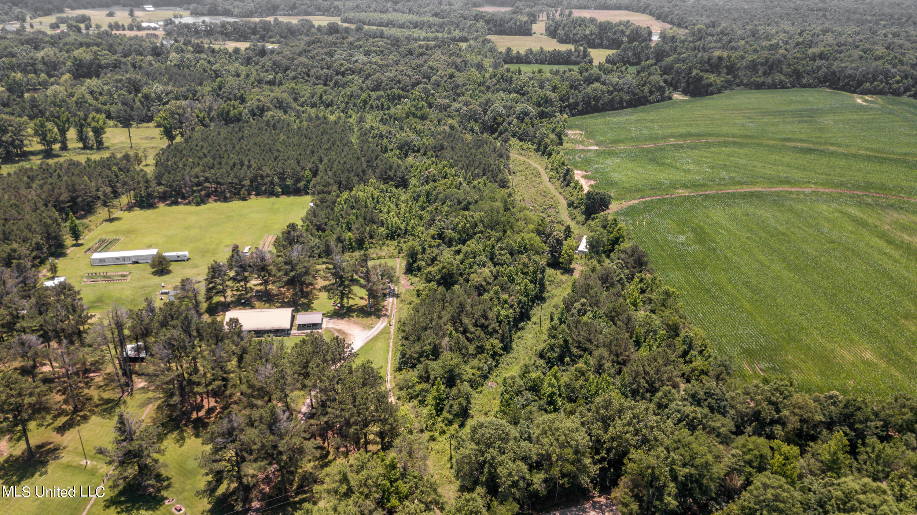 439 Dampeer Road Canton, MS 39046 - Photo 21 of 30 Dampeer Road Land Drone-0530