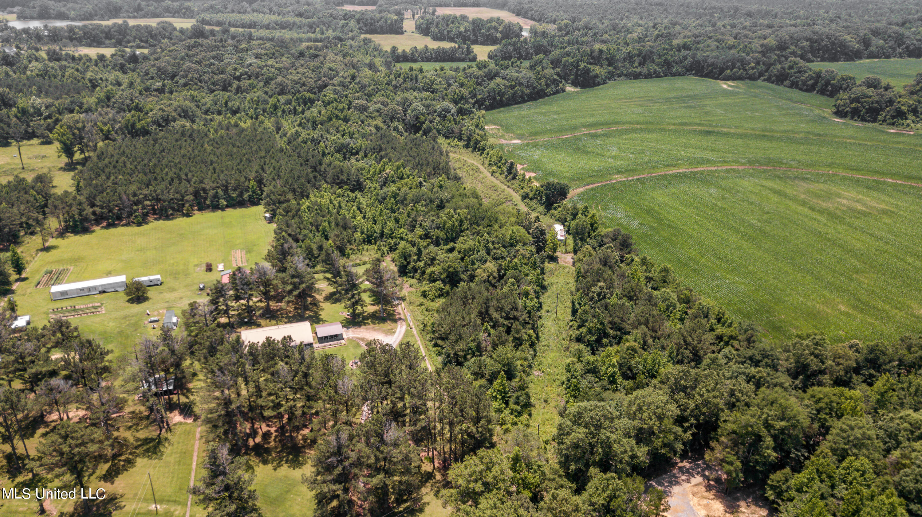 439 Dampeer Road Canton, MS 39046 - Photo 22 of 30 Dampeer Road Land Drone-0531