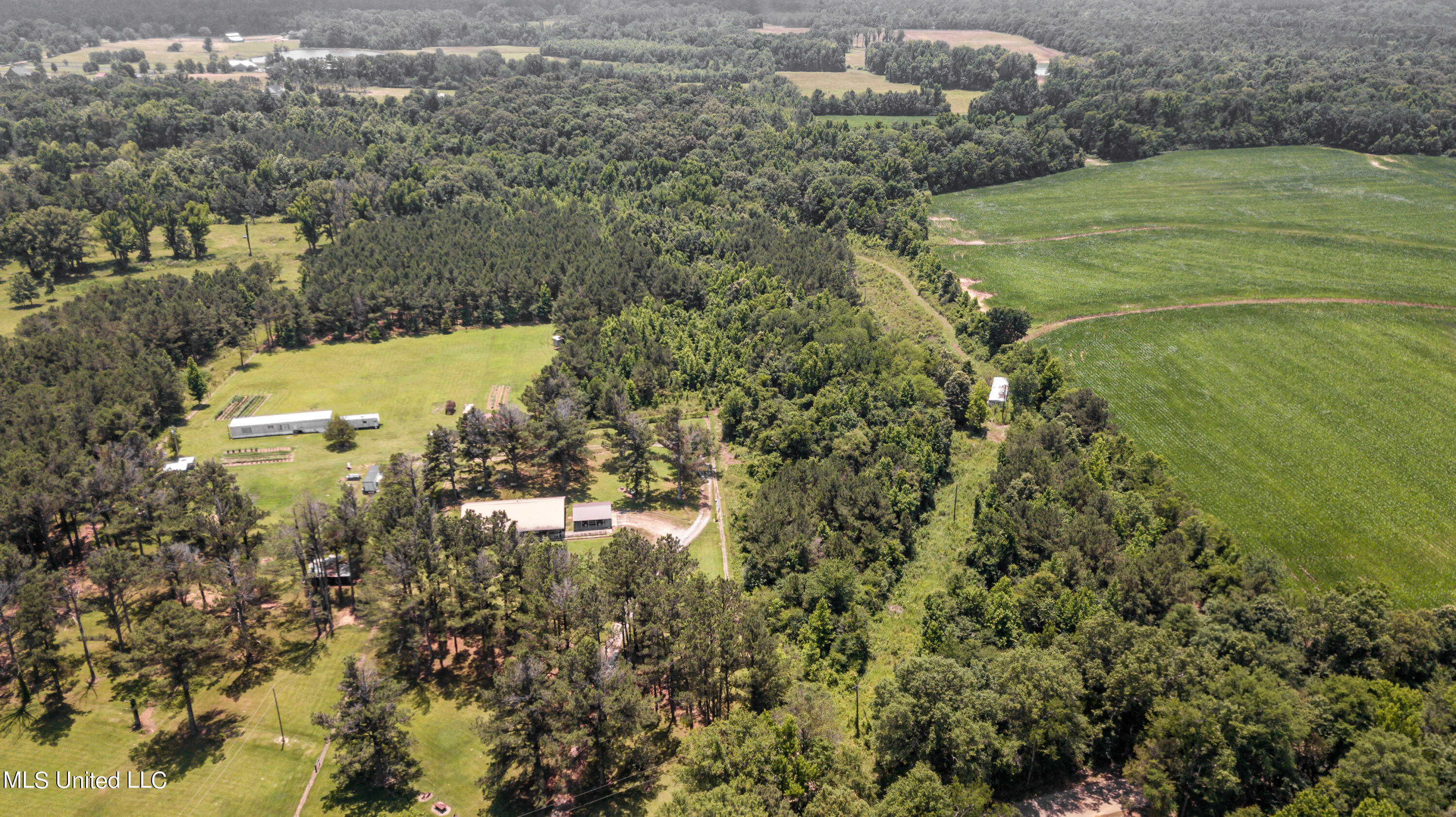 439 Dampeer Road Canton, MS 39046 - Photo 25 of 30 Dampeer Road Land Drone-0534