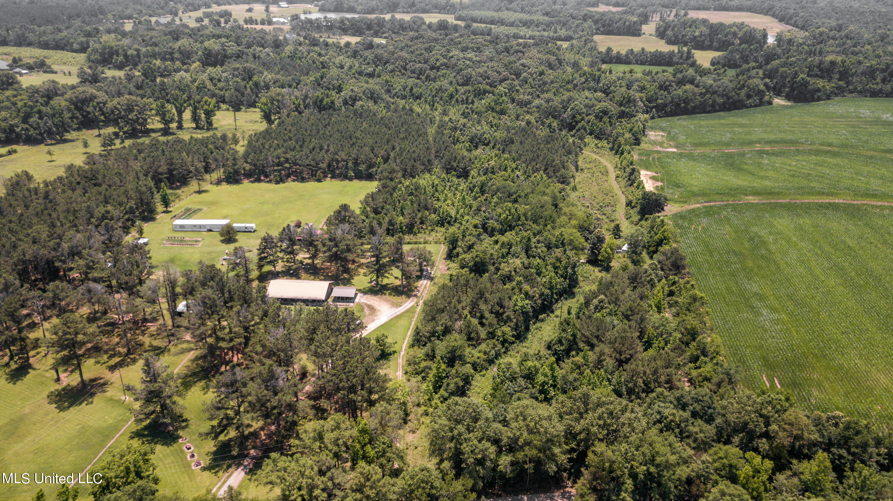 439 Dampeer Road Canton, MS 39046 - Photo 26 of 30 Dampeer Road Land Drone-0535