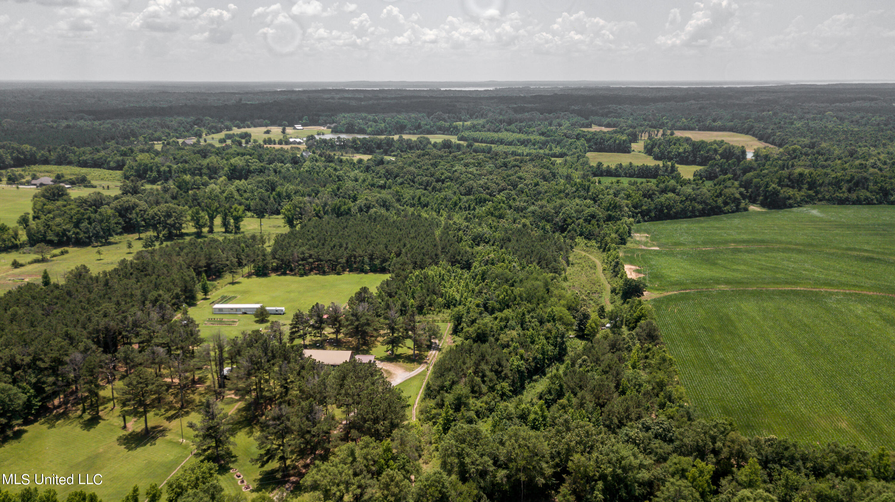 439 Dampeer Road Canton, MS 39046 - Photo 27 of 30 Dampeer Road Land Drone-0536