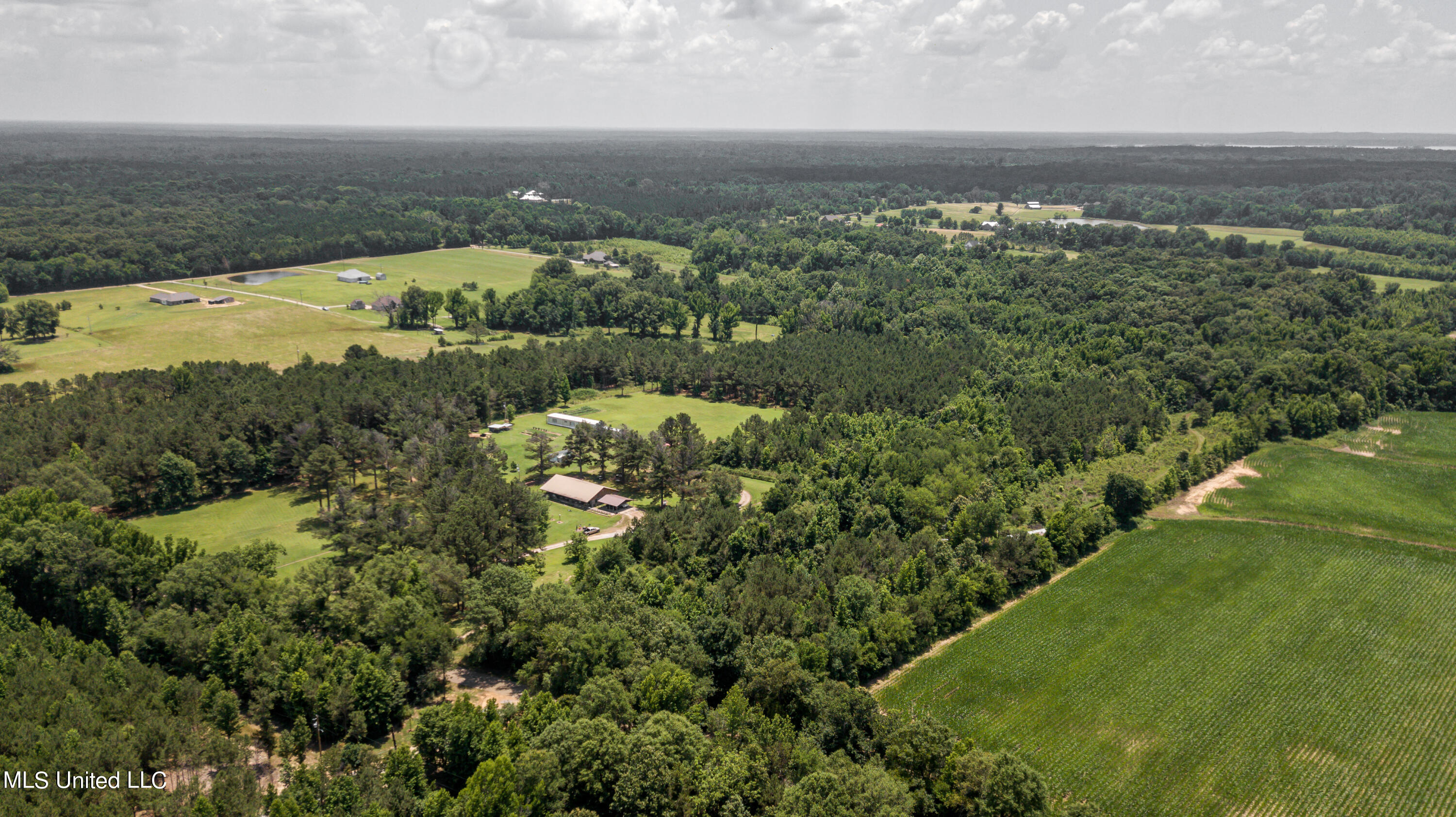 439 Dampeer Road Canton, MS 39046 - Photo 28 of 30 Dampeer Road Land Drone-0537