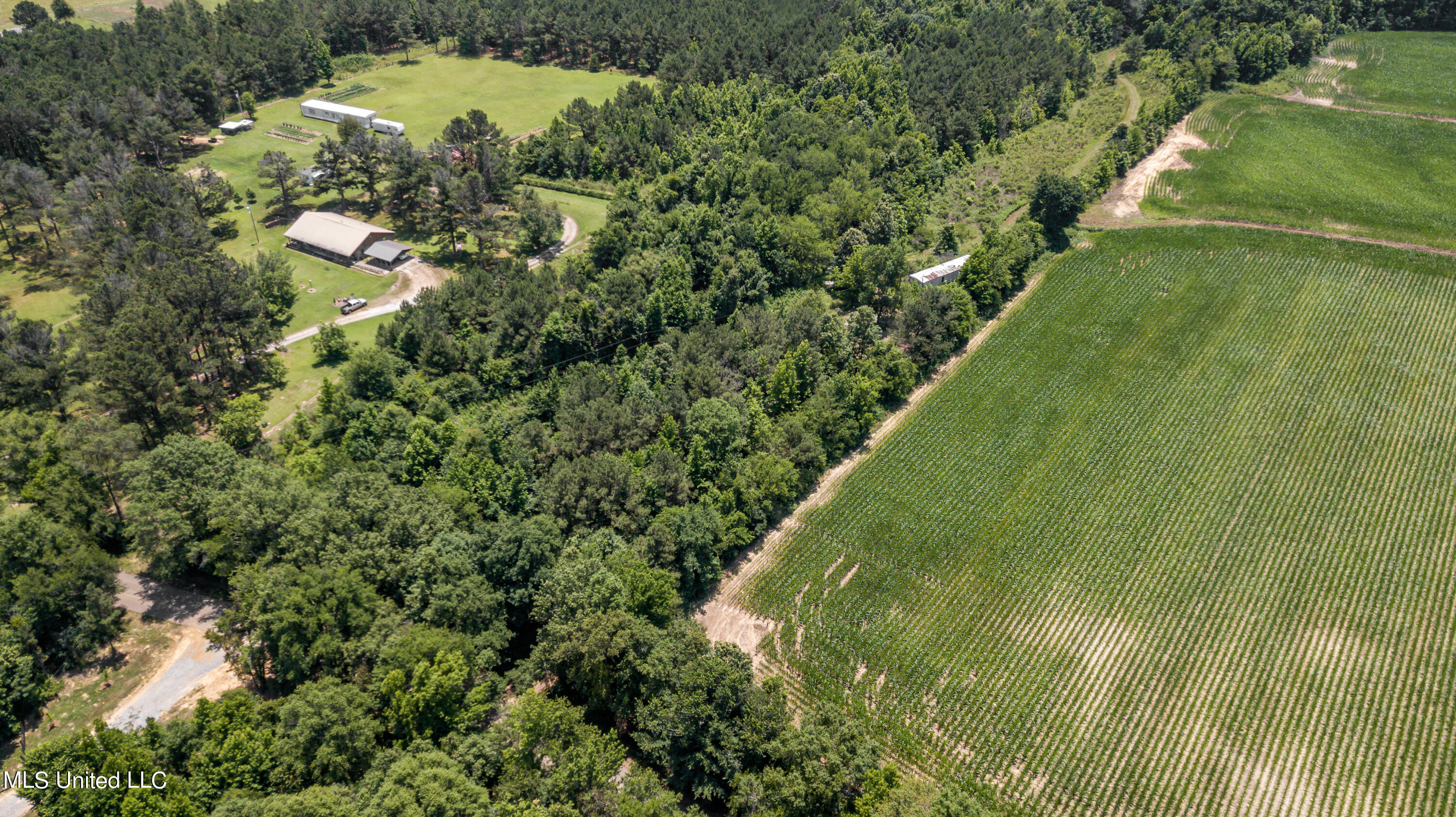 439 Dampeer Road Canton, MS 39046 - Photo 29 of 30 Dampeer Road Land Drone-0538