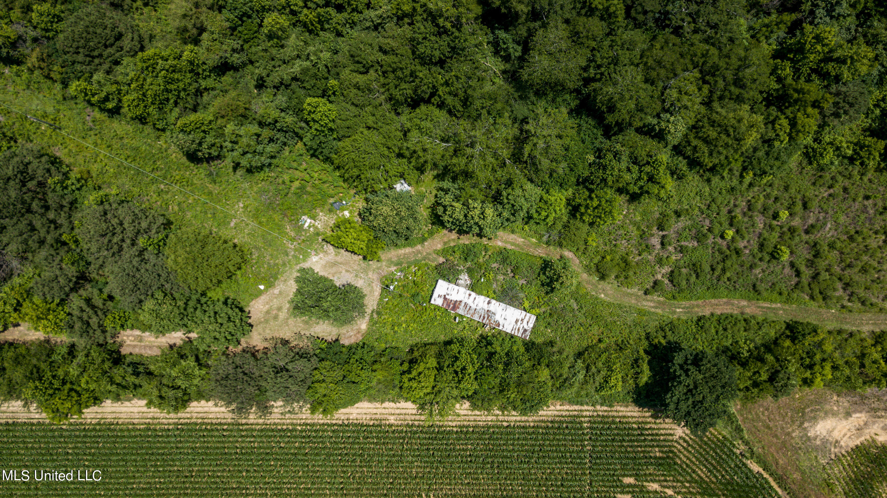 439 Dampeer Road Canton, MS 39046 - Photo 30 of 30 Dampeer Road Land Drone-0539