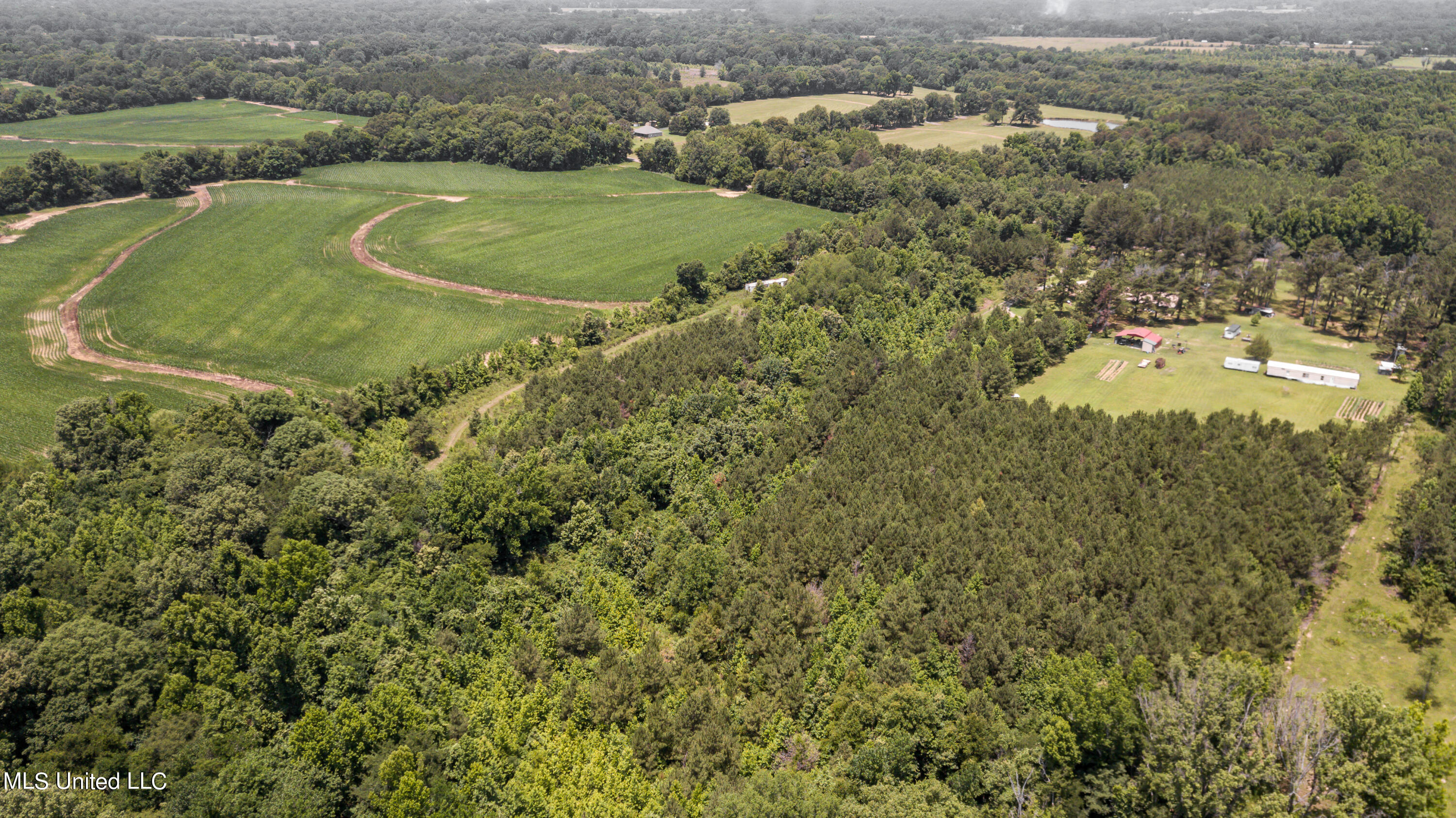 439 Dampeer Road Canton, MS 39046 - Photo 4 of 30 Dampeer Road Land Drone-0513