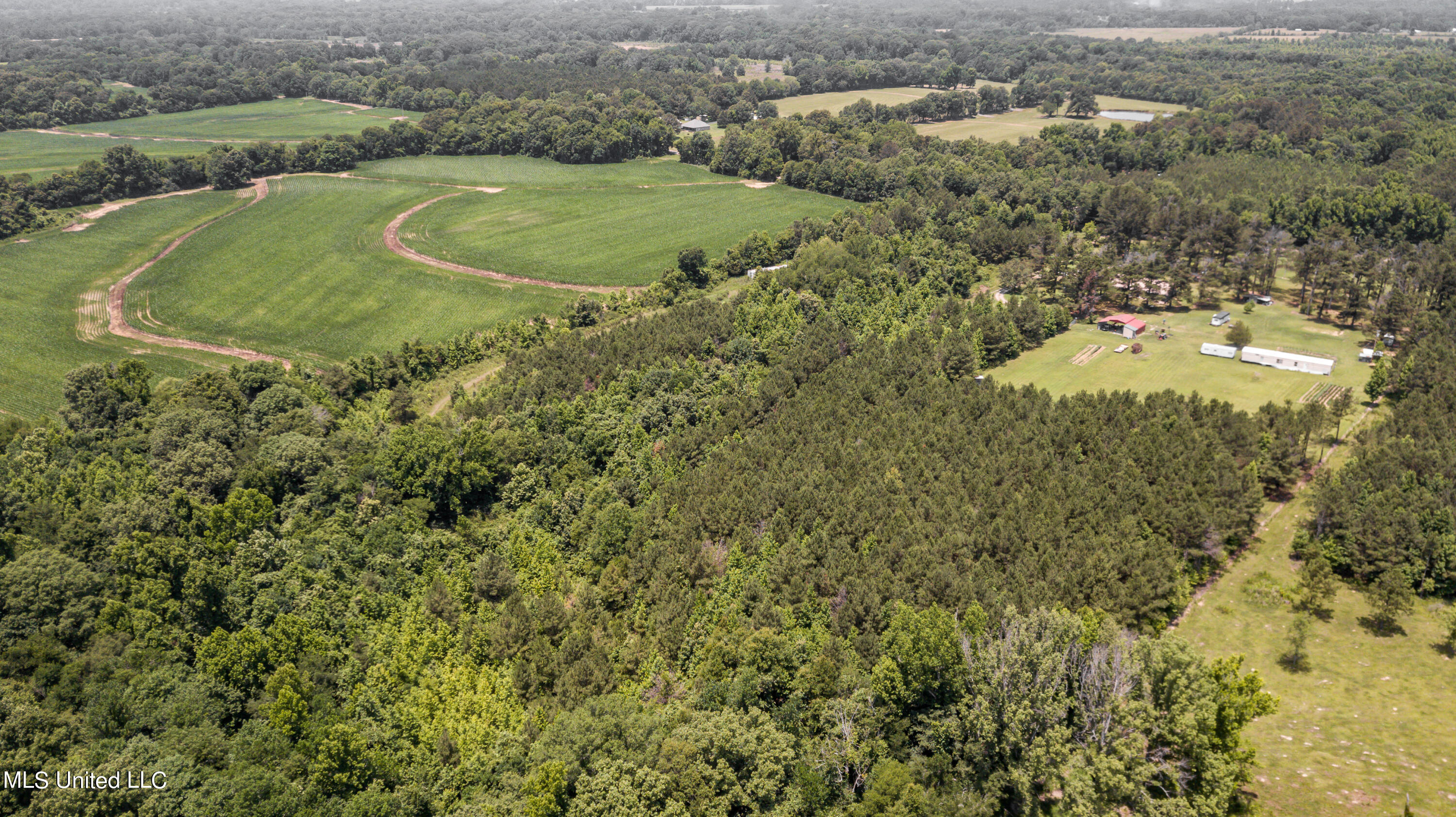 439 Dampeer Road Canton, MS 39046 - Photo 5 of 30 Dampeer Road Land Drone-0514