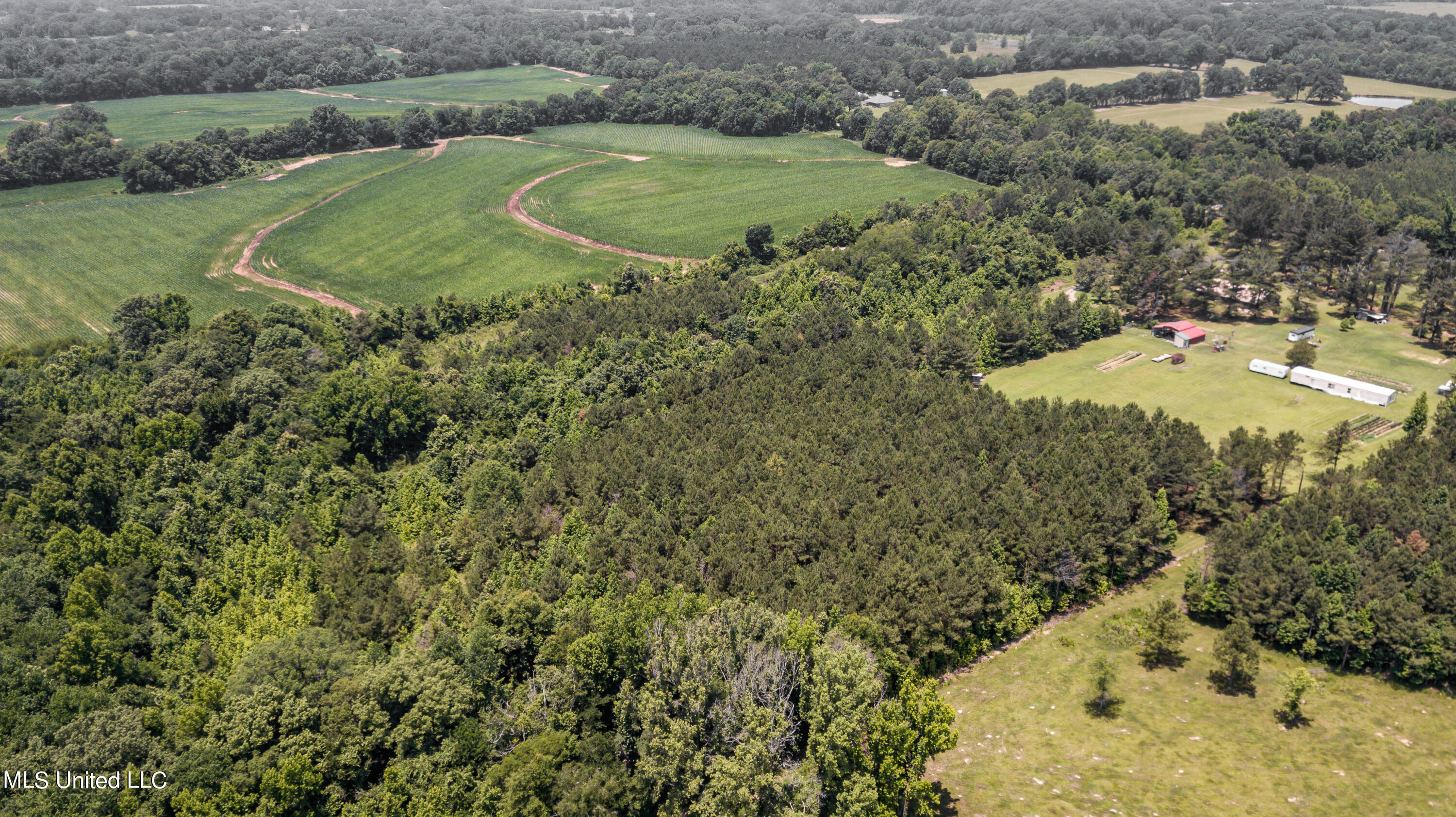 439 Dampeer Road Canton, MS 39046 - Photo 6 of 30 Dampeer Road Land Drone-0515