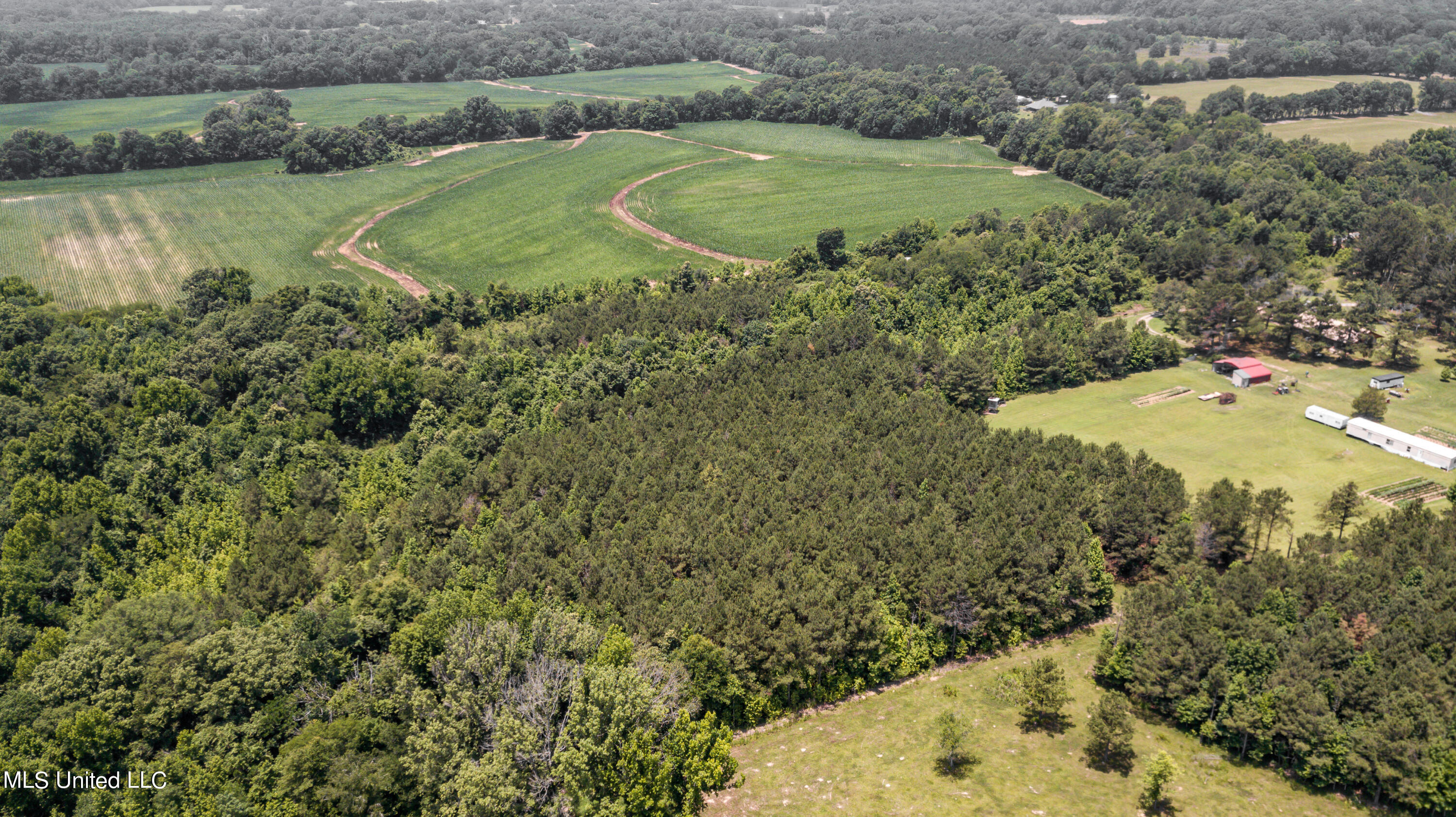 439 Dampeer Road Canton, MS 39046 - Photo 7 of 30 Dampeer Road Land Drone-0516