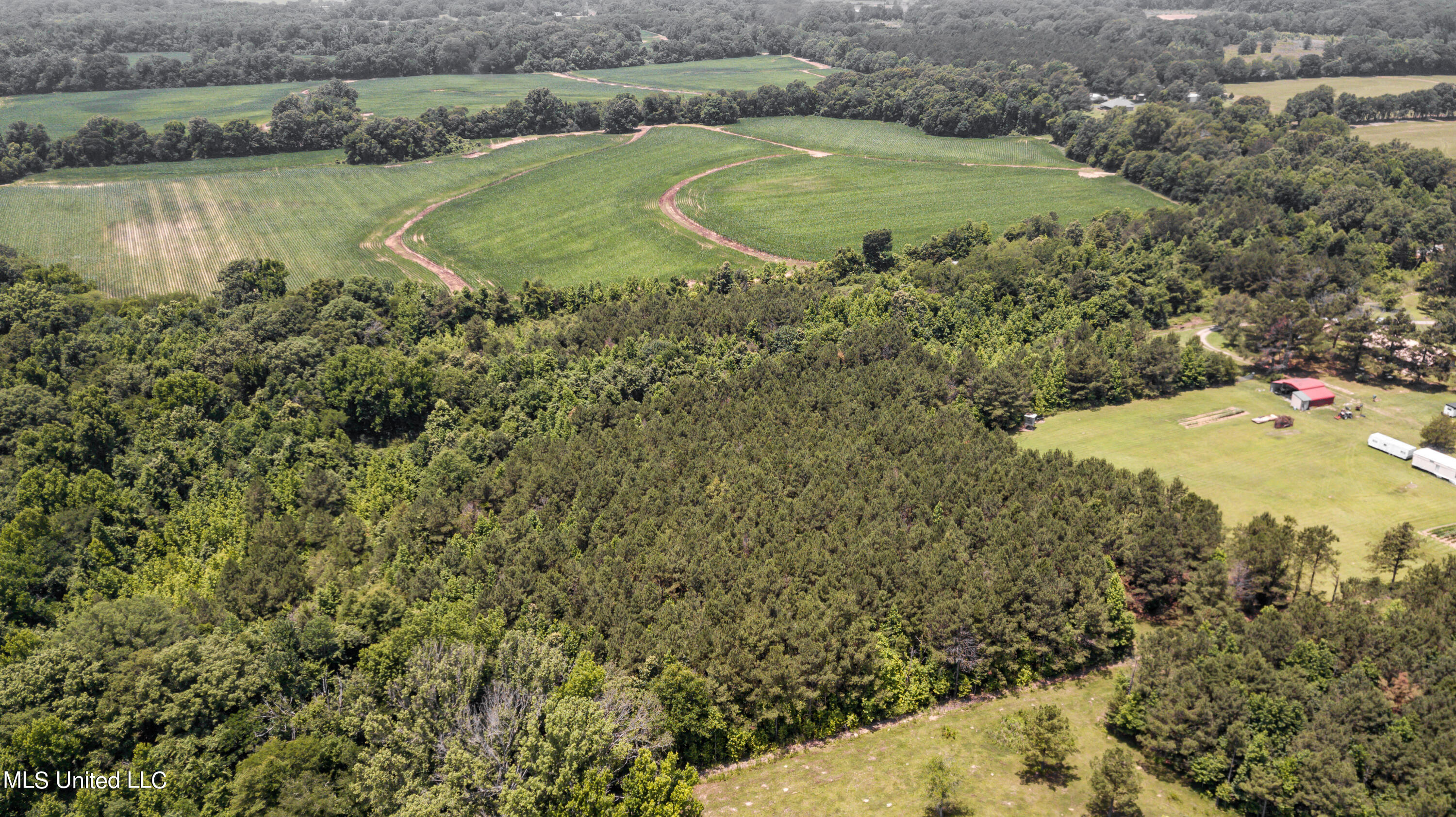 439 Dampeer Road Canton, MS 39046 - Photo 8 of 30 Dampeer Road Land Drone-0517
