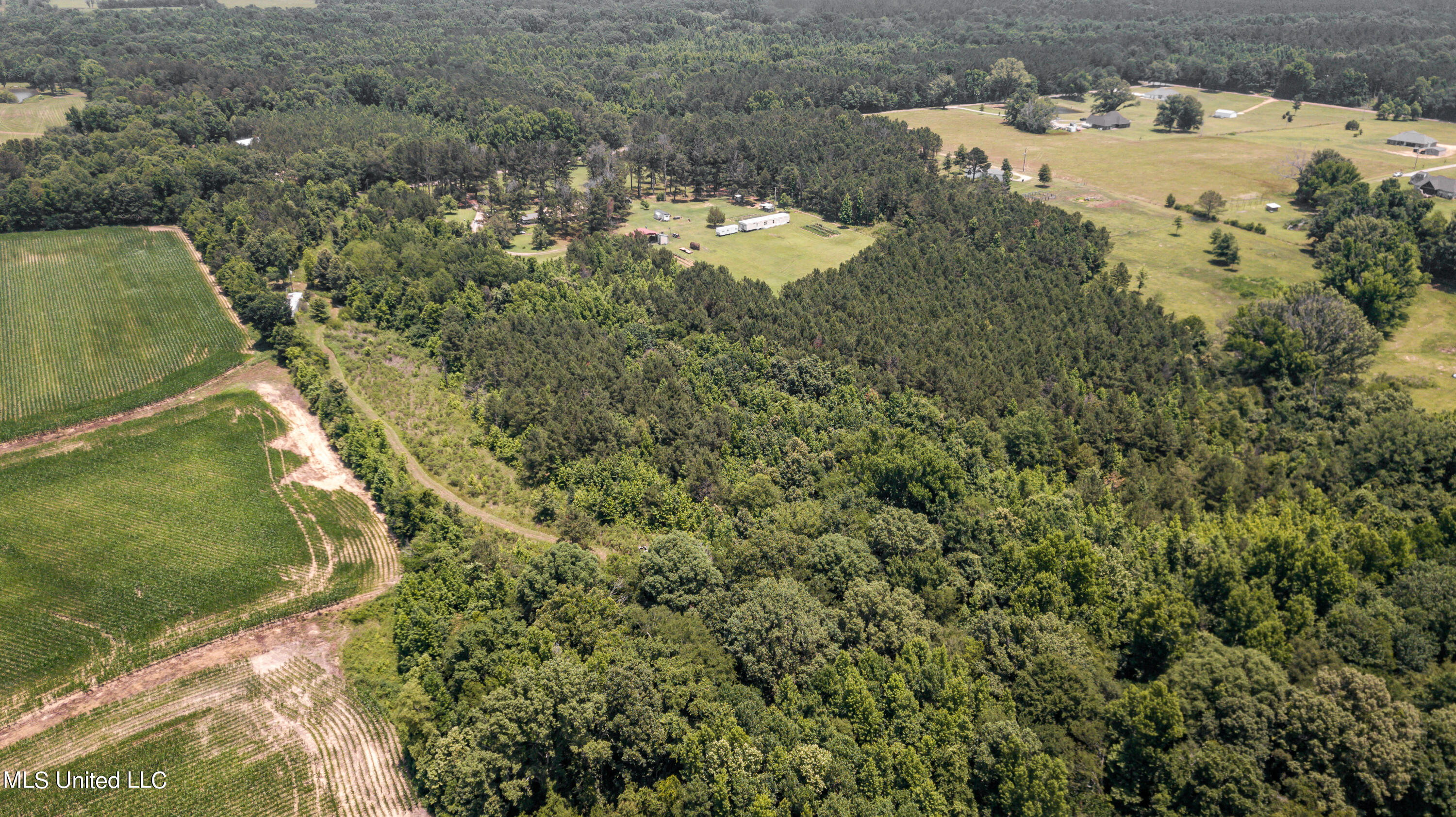 439 Dampeer Road Canton, MS 39046 - Photo 9 of 30 Dampeer Road Land Drone-0518