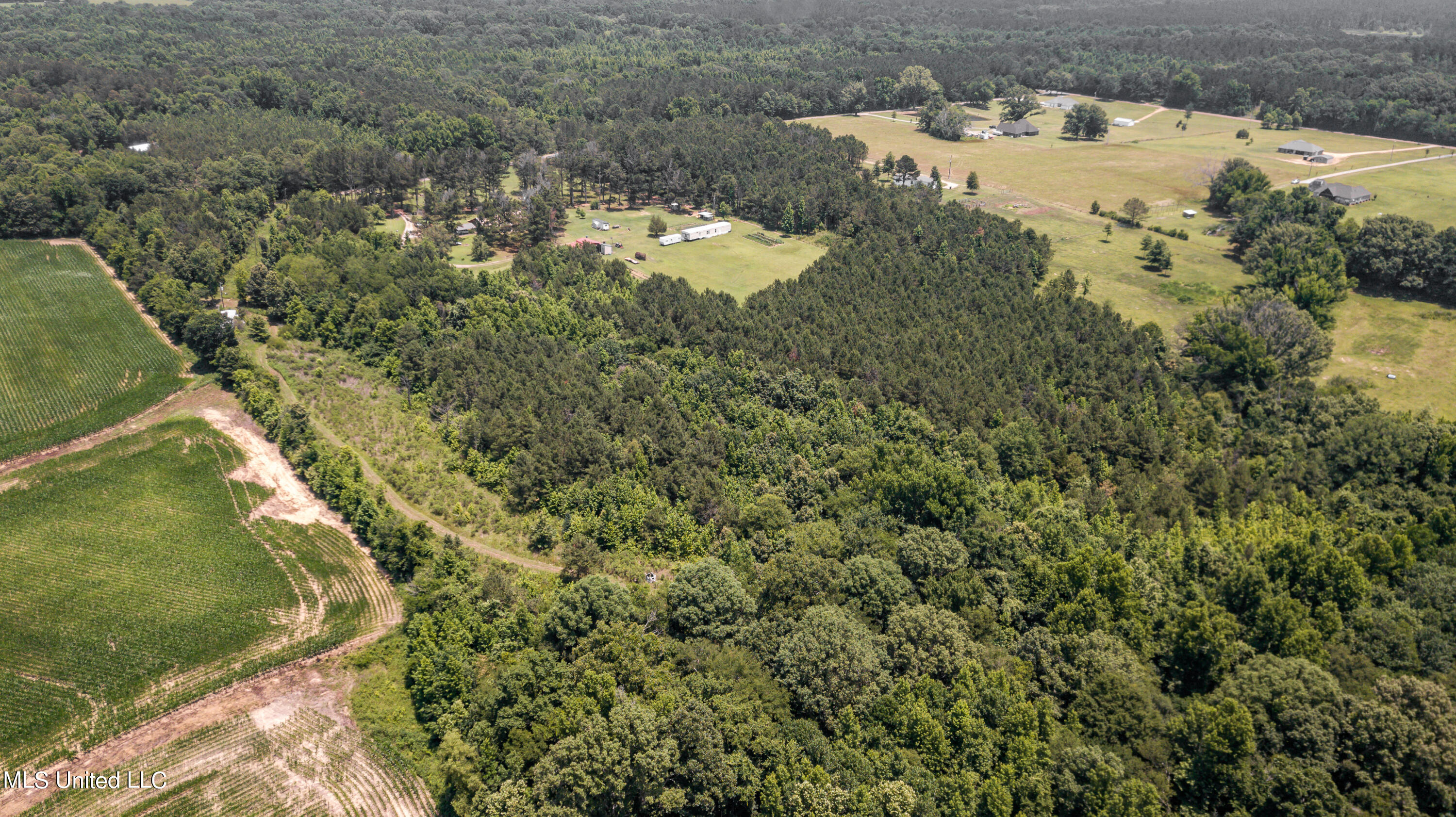 439 Dampeer Road Canton, MS 39046 - Photo 10 of 30 Dampeer Road Land Drone-0519