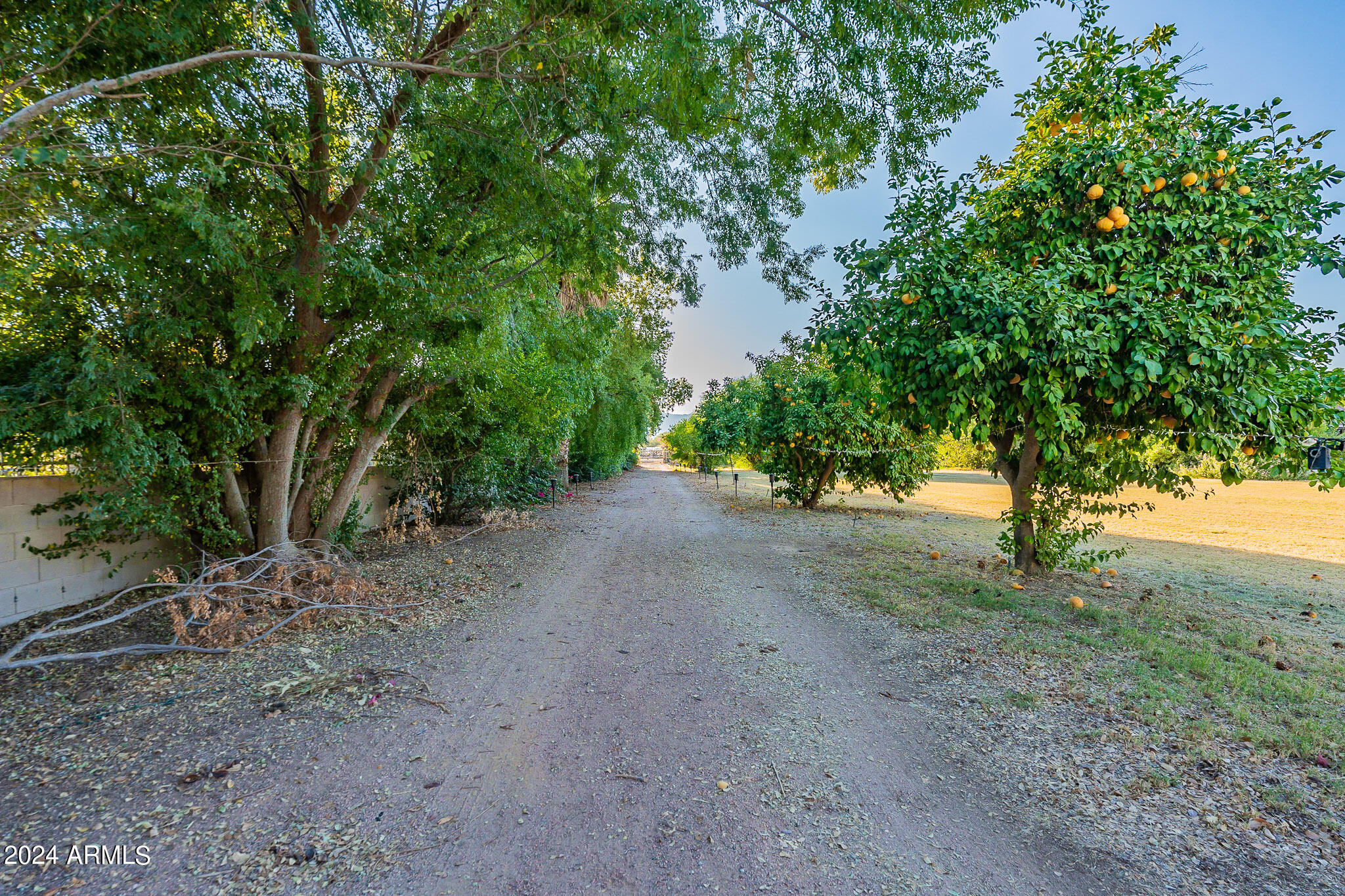 7601 North Citrus Road Waddell, AZ 85355 - Photo 10 of 81 Driveway