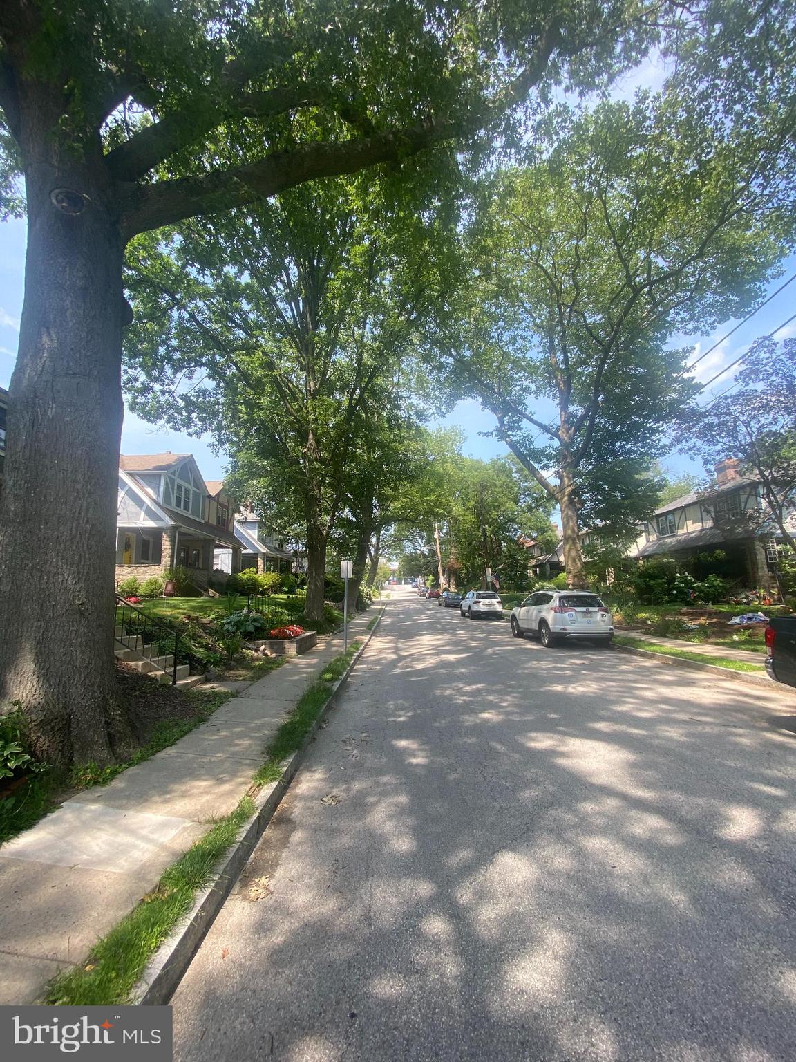 32 Chatham Road Ardmore, PA 19003 - Photo 2 of 29 a view of a yard with potted plants and large trees