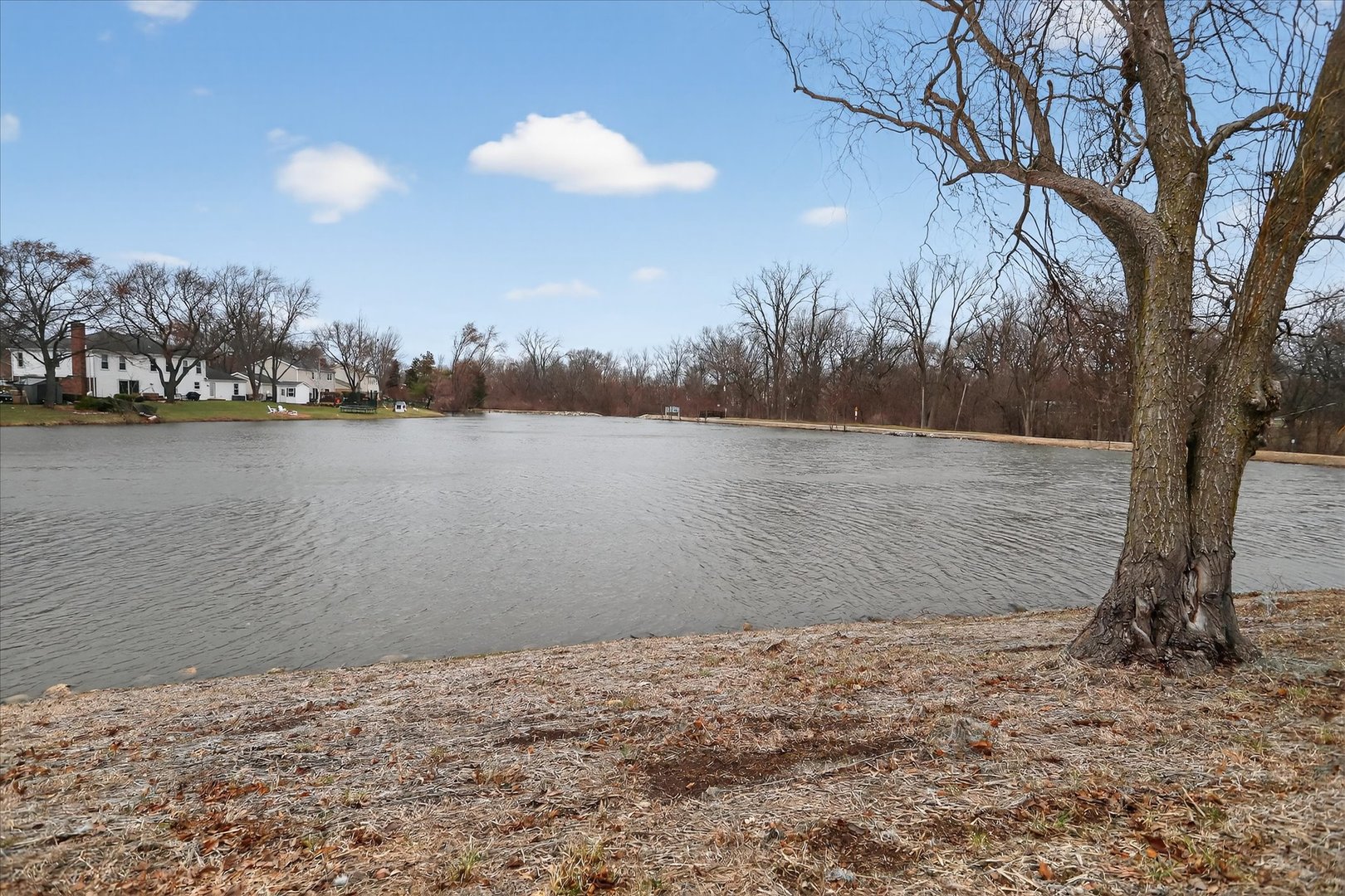 217 New Bridge Court Rolling Meadows, IL 60008 - Photo 30 of 34