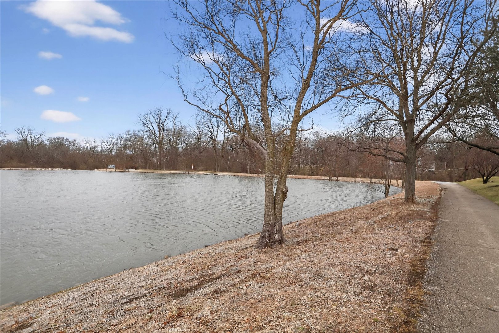 217 New Bridge Court Rolling Meadows, IL 60008 - Photo 31 of 34