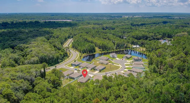 a picture of a black and white photo